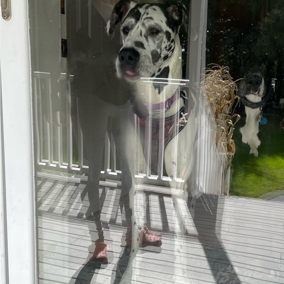 Hello! If you are here, thank you for checking out my page. I appreciate you! 🧡 - Picture 8 of 16